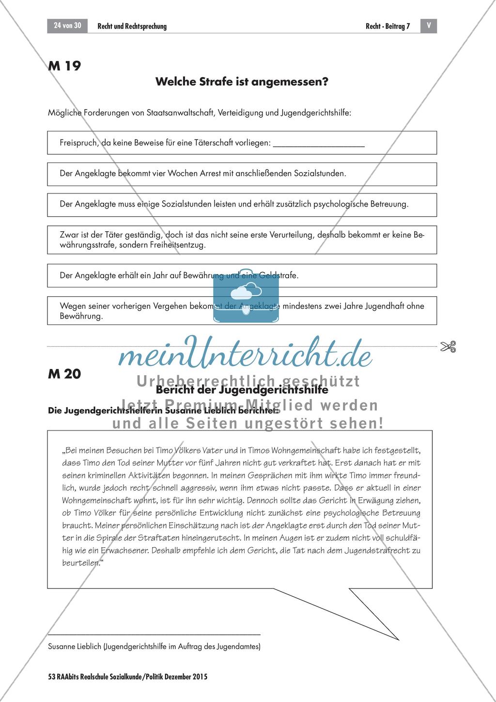 Recht und Rechtsprechung: Simulation einer Gerichtsverhandlung Preview 13