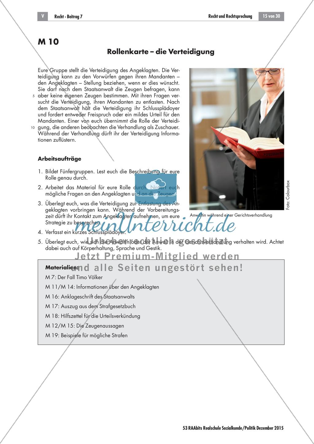Recht und Rechtsprechung: Simulation einer Gerichtsverhandlung Preview 4