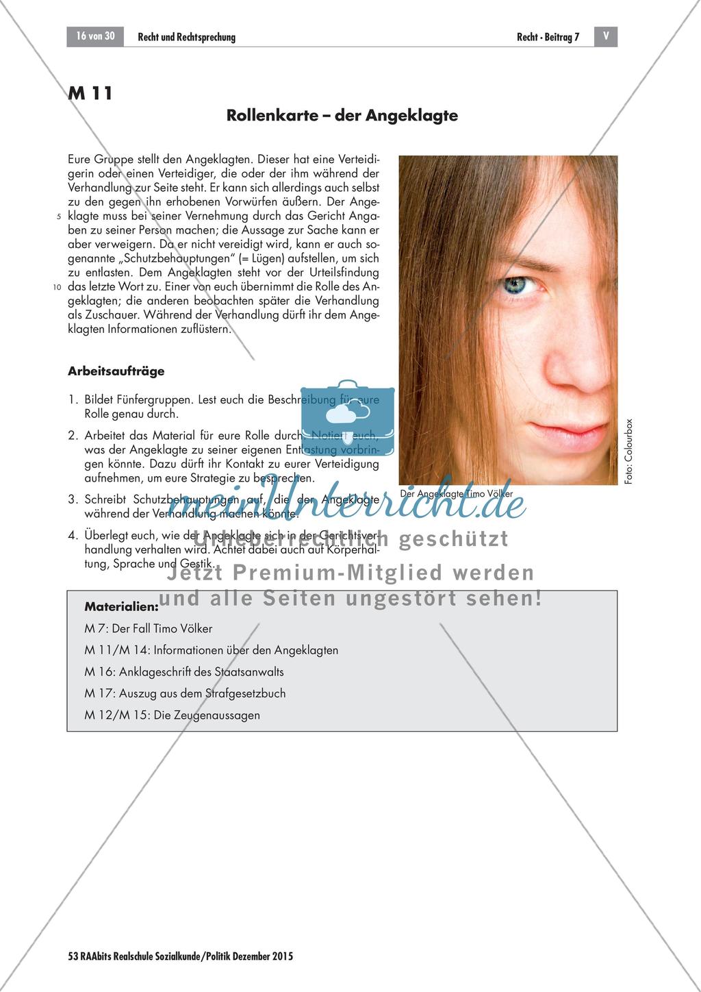 Recht und Rechtsprechung: Simulation einer Gerichtsverhandlung Preview 5