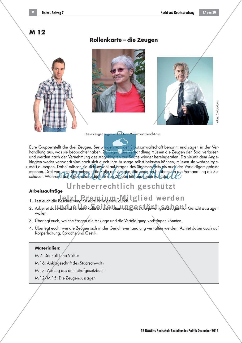 Recht und Rechtsprechung: Simulation einer Gerichtsverhandlung Preview 6