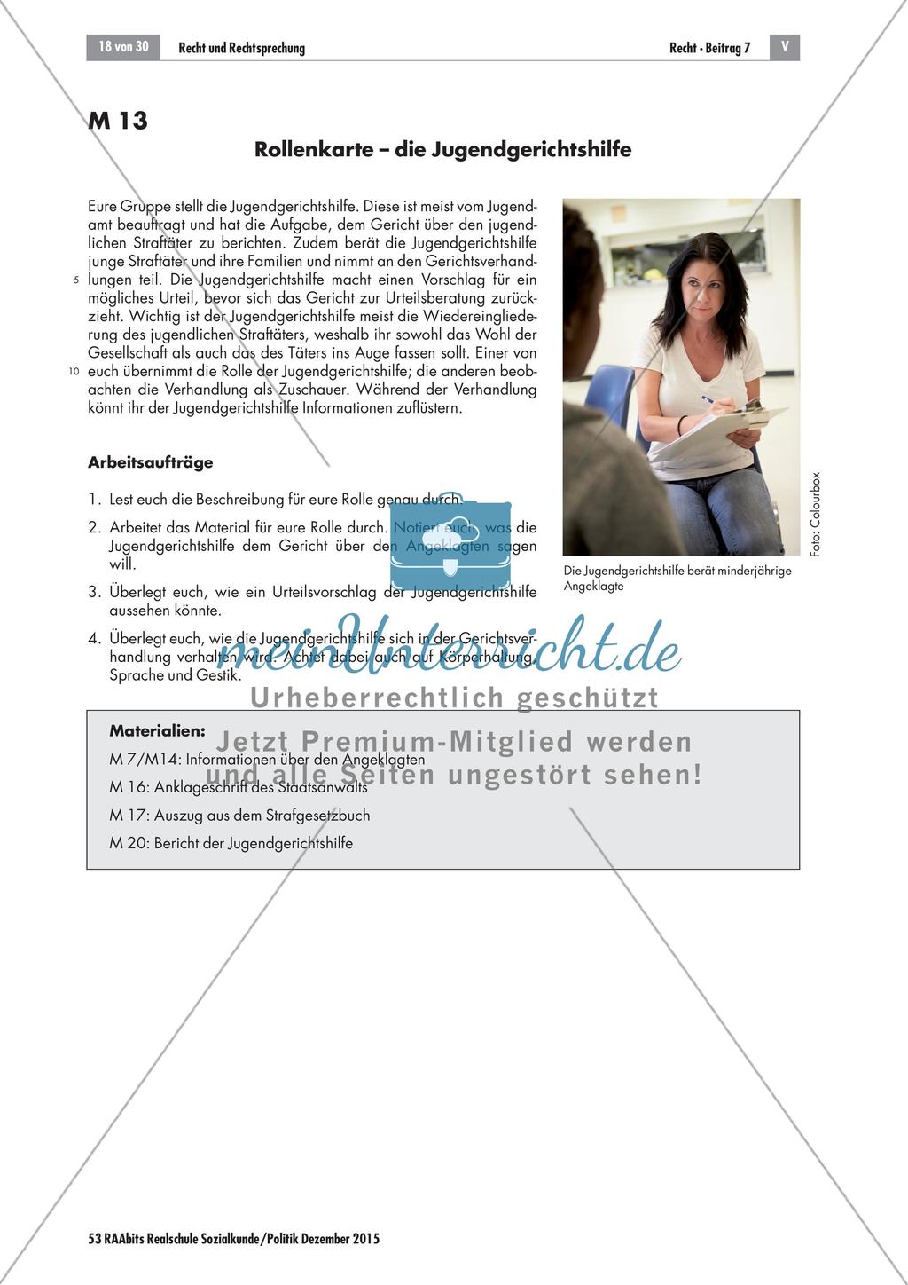 Recht und Rechtsprechung: Simulation einer Gerichtsverhandlung Preview 7