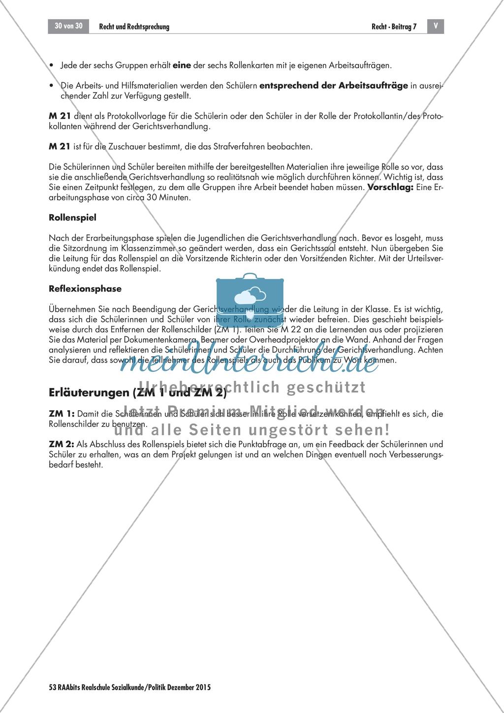 Recht und Rechtsprechung: Didaktische Erläuterungen Preview 4