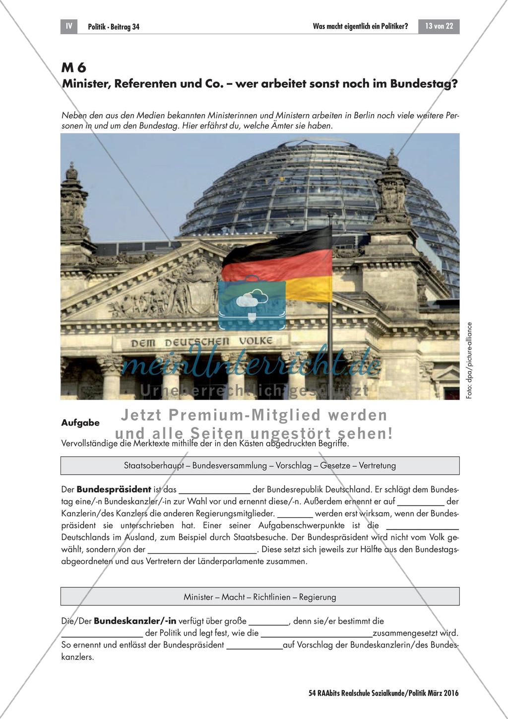 Der Beruf Politiker Preview 13