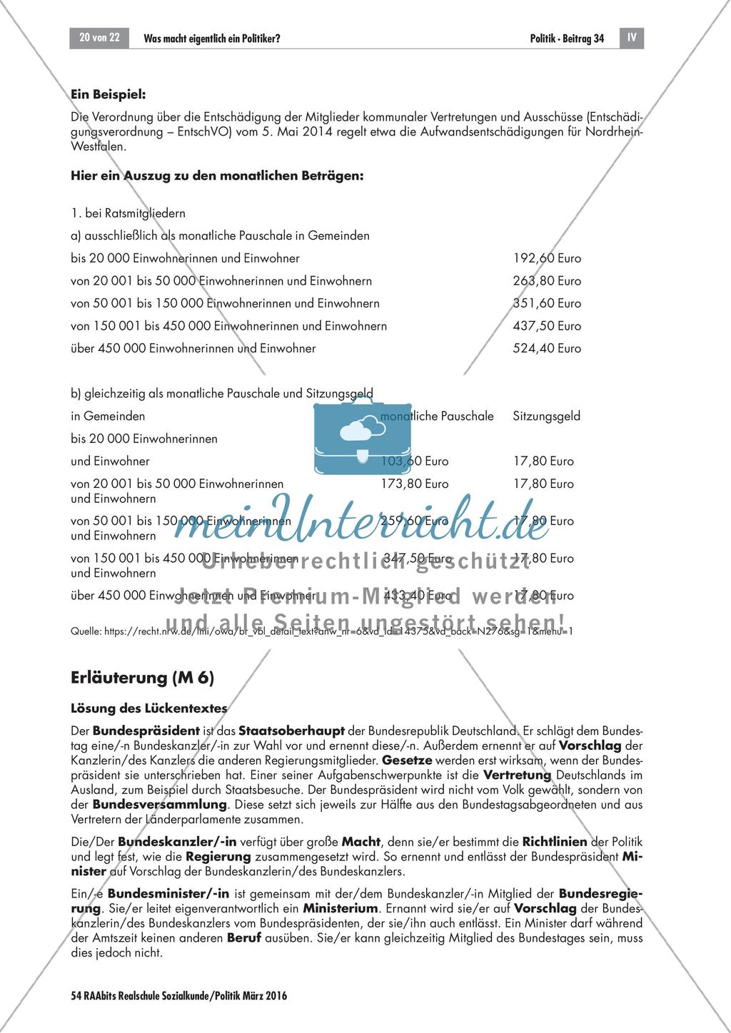 Der Beruf Politiker Preview 20