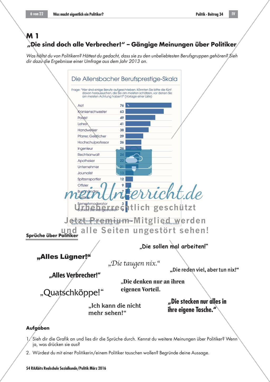 Der Beruf Politiker Preview 6