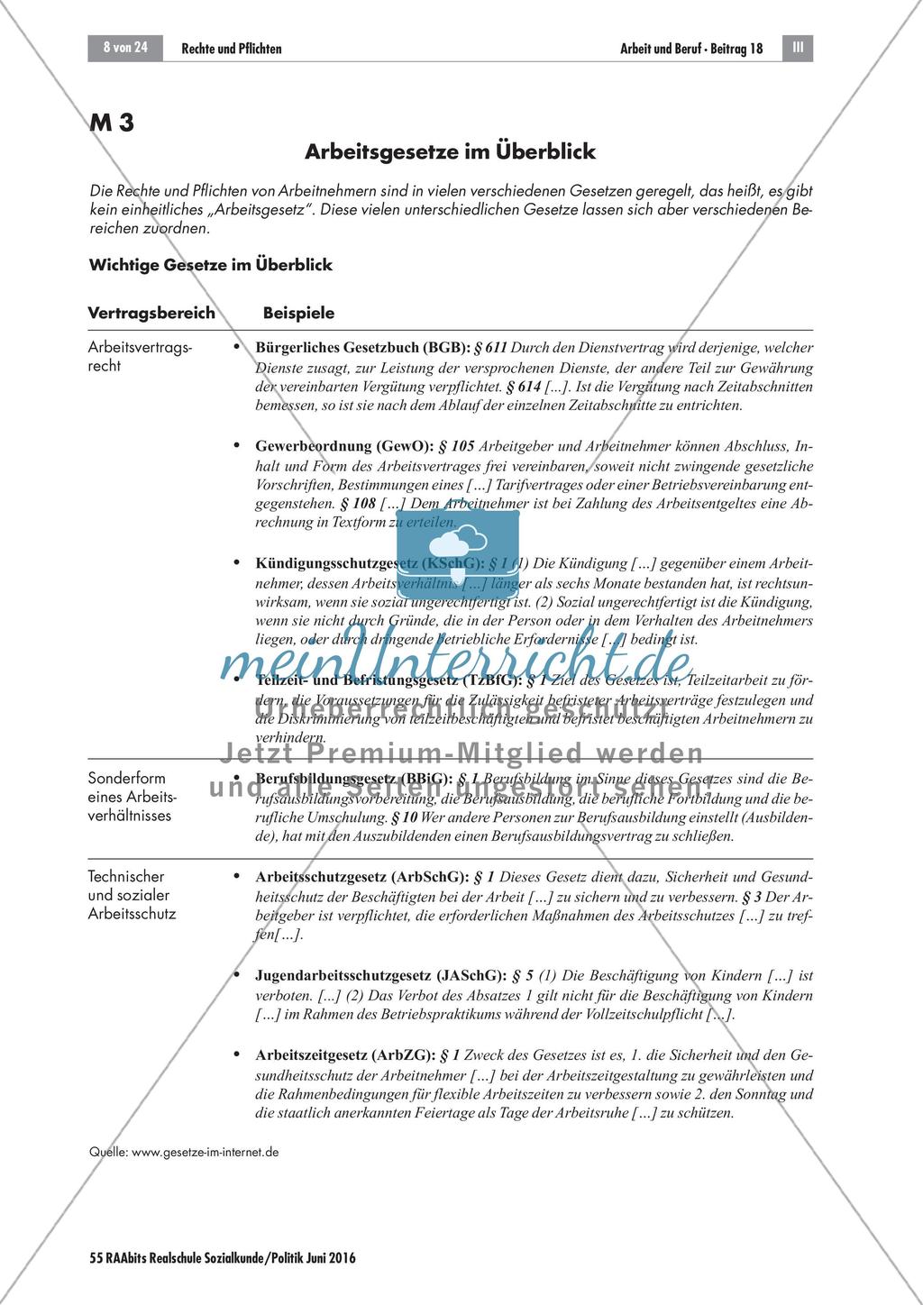 Rechte und Pflichten als Arbeitnehmer Preview 3