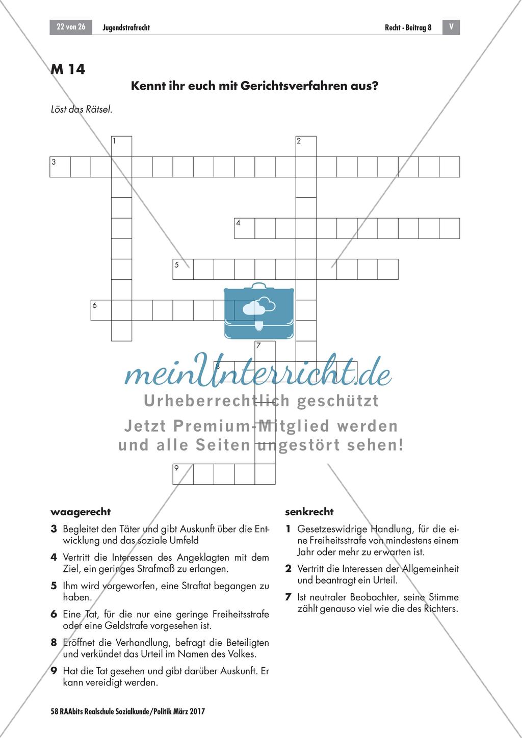 Nachspielen einer Gerichtsverhandlung Preview 10