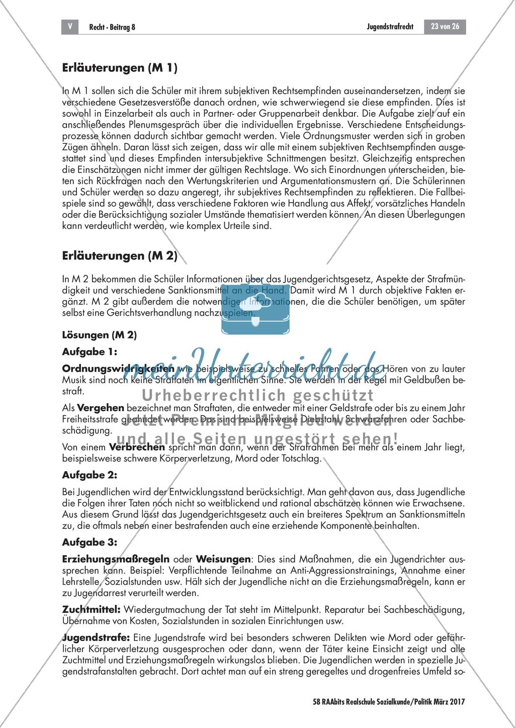 Lösungen: Jugendliche vor Gericht Preview 1