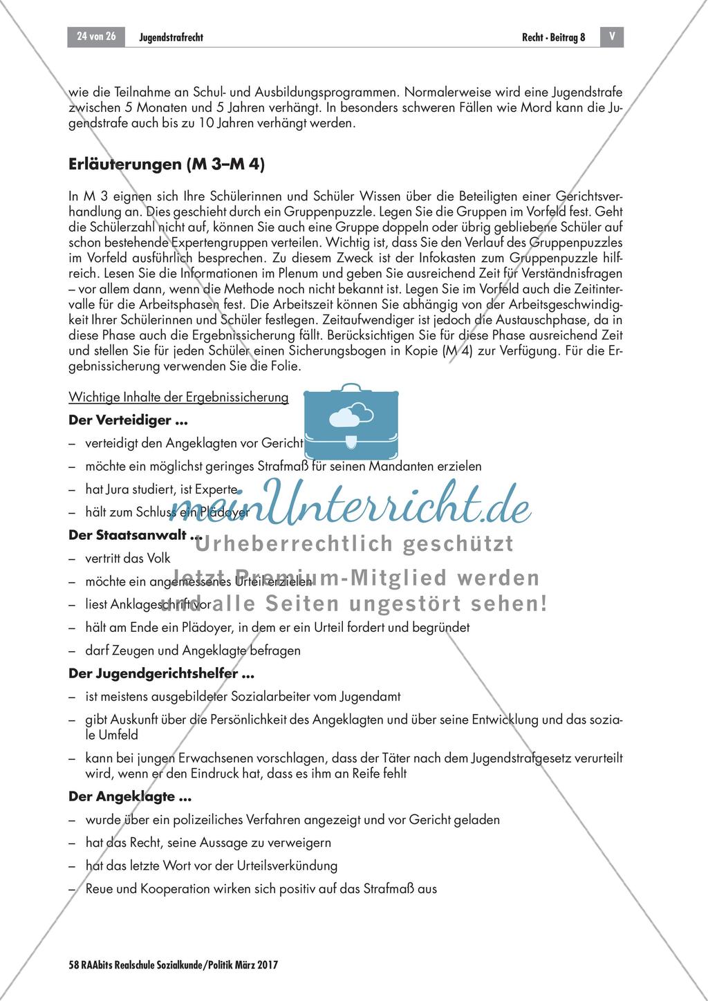 Lösungen: Jugendliche vor Gericht Preview 2