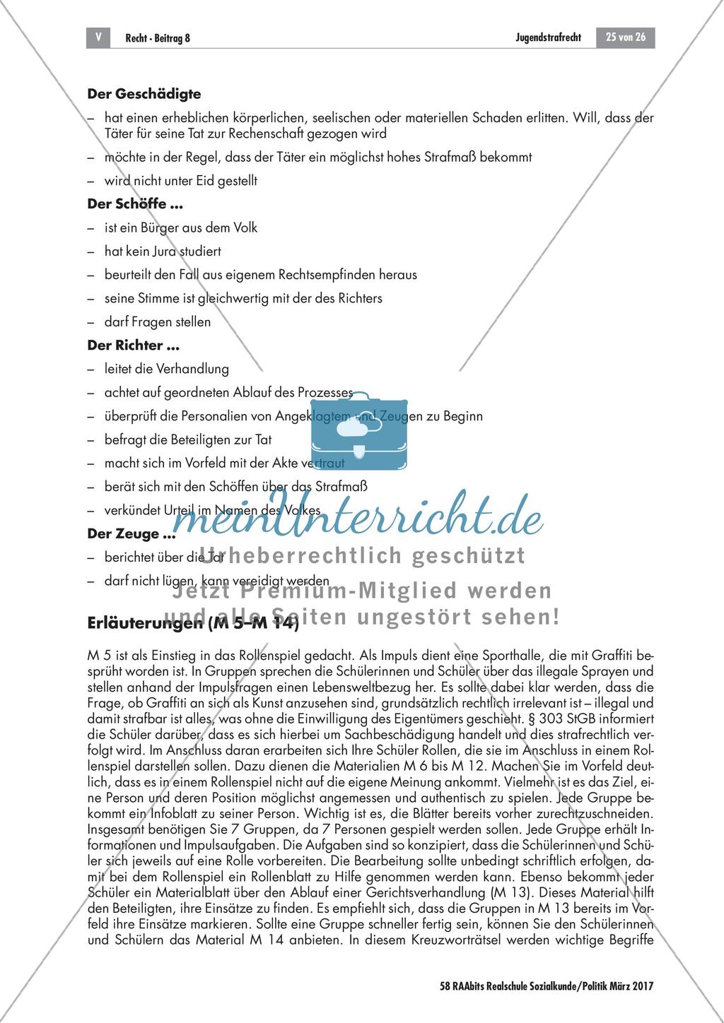 Lösungen: Jugendliche vor Gericht Preview 3