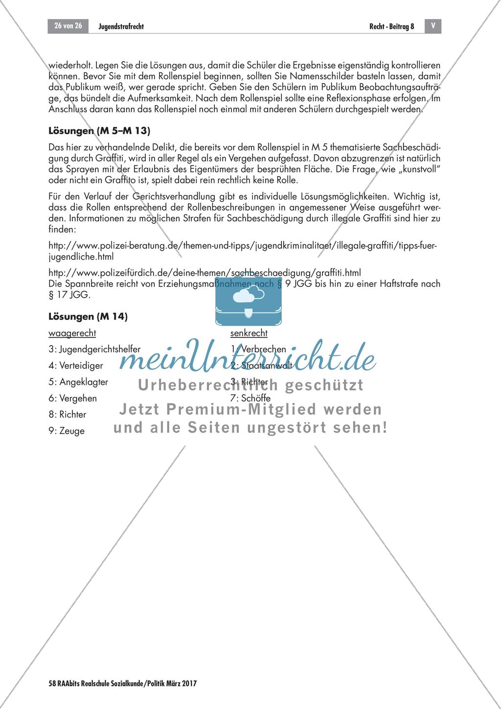 Lösungen: Jugendliche vor Gericht Preview 4