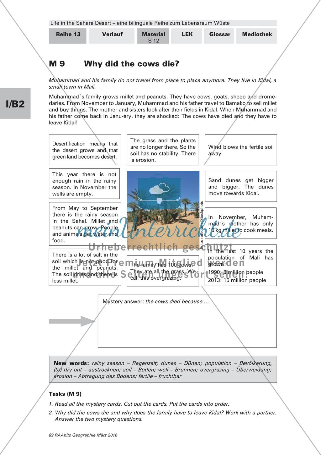 Der Lebensraum Wüste: Bilinguales Material Preview 12