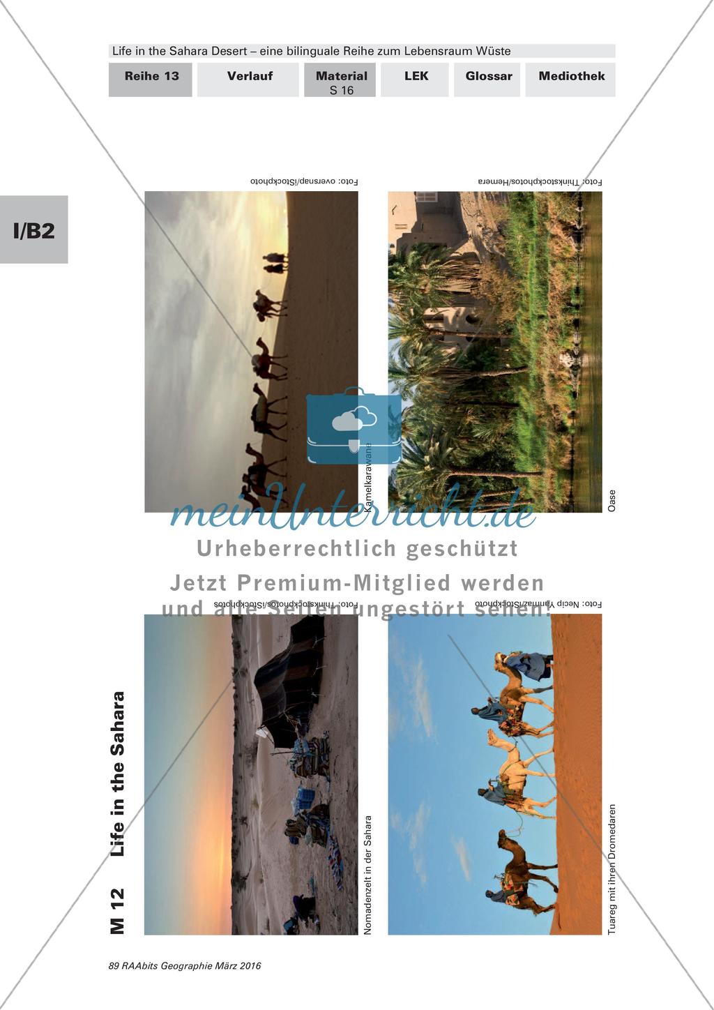 Der Lebensraum Wüste: Bilinguales Material Preview 16