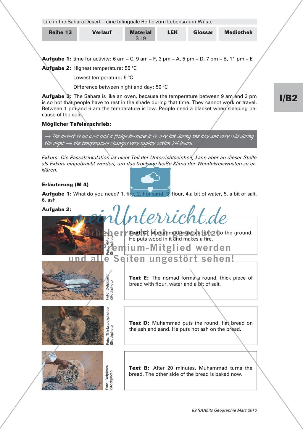 Der Lebensraum Wüste: Bilinguales Material Preview 19