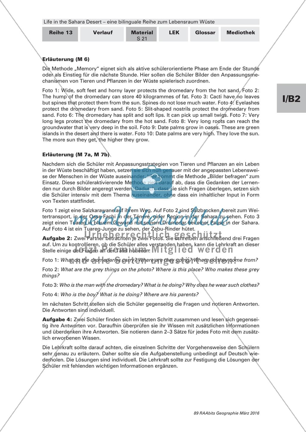Der Lebensraum Wüste: Bilinguales Material Preview 21