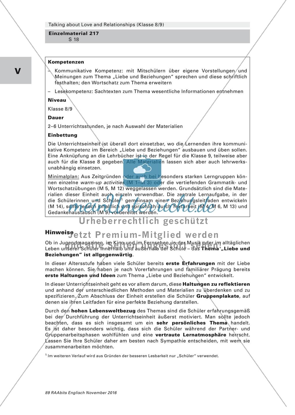 Kompetenzorientierte Lernaufgabe - Love and Relationships Preview 18