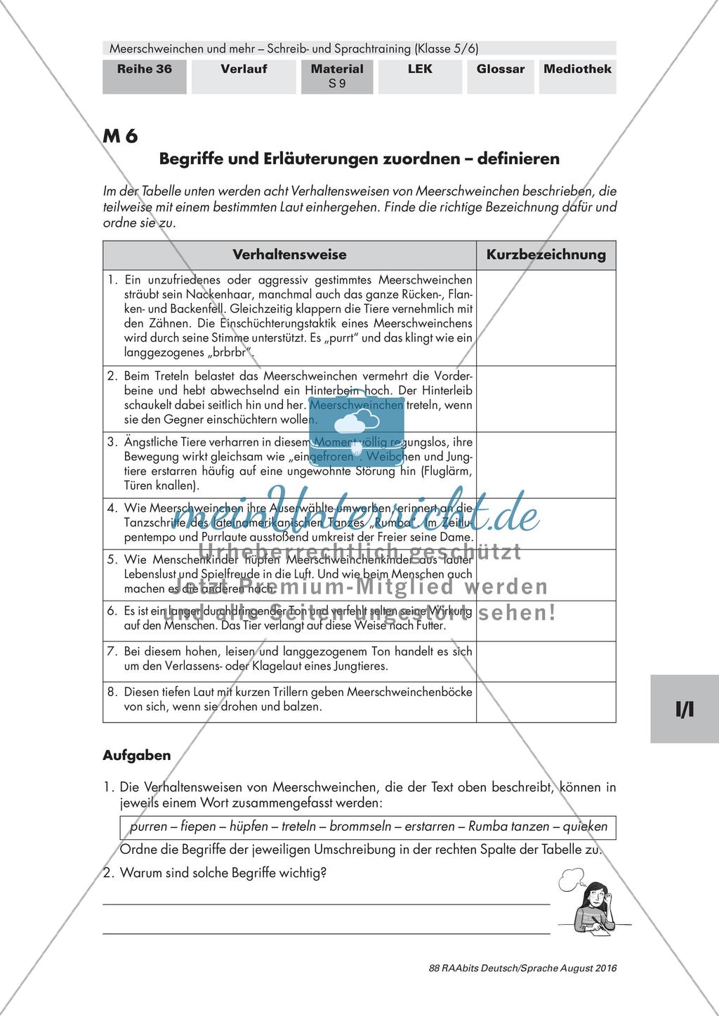 Sachliche und diskontinuierliche Texte Preview 6