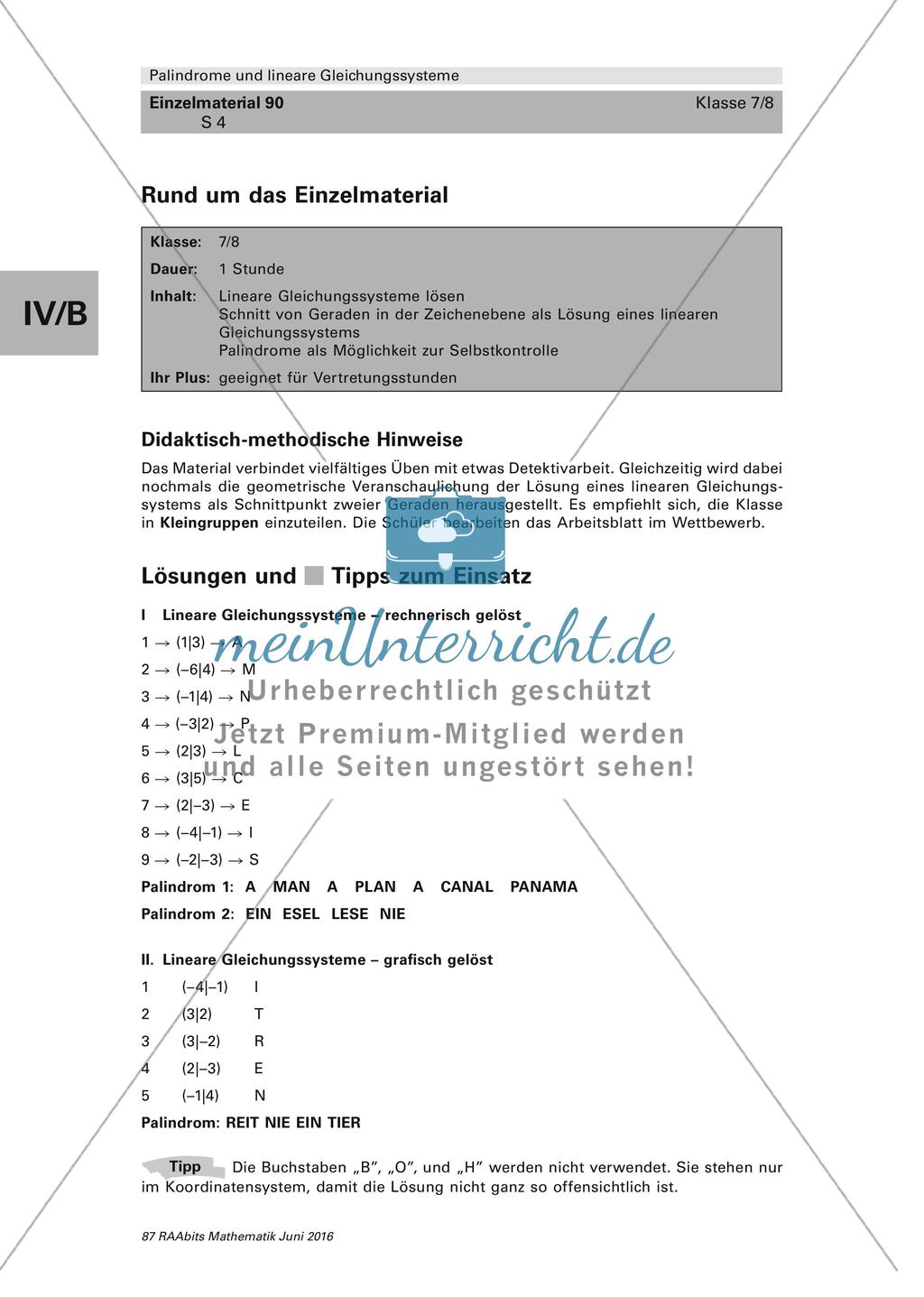Palindrome und lineare Gleichungssysteme Preview 4