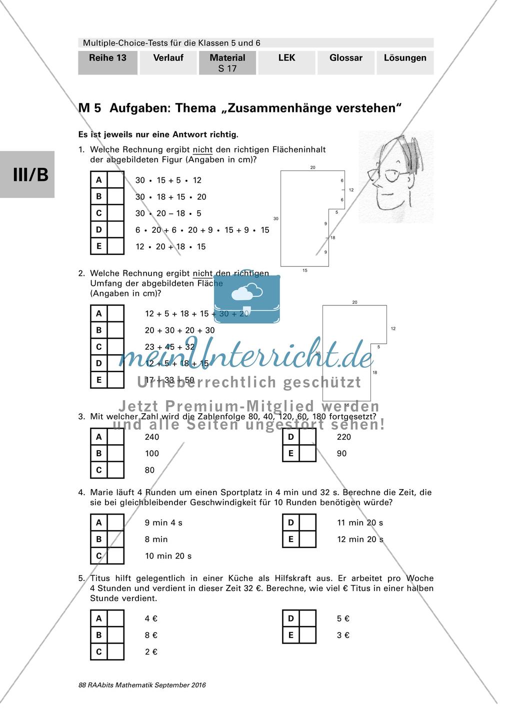 Multiple-Choice-Test zum Thema Zusammenhänge verstehen Preview 1