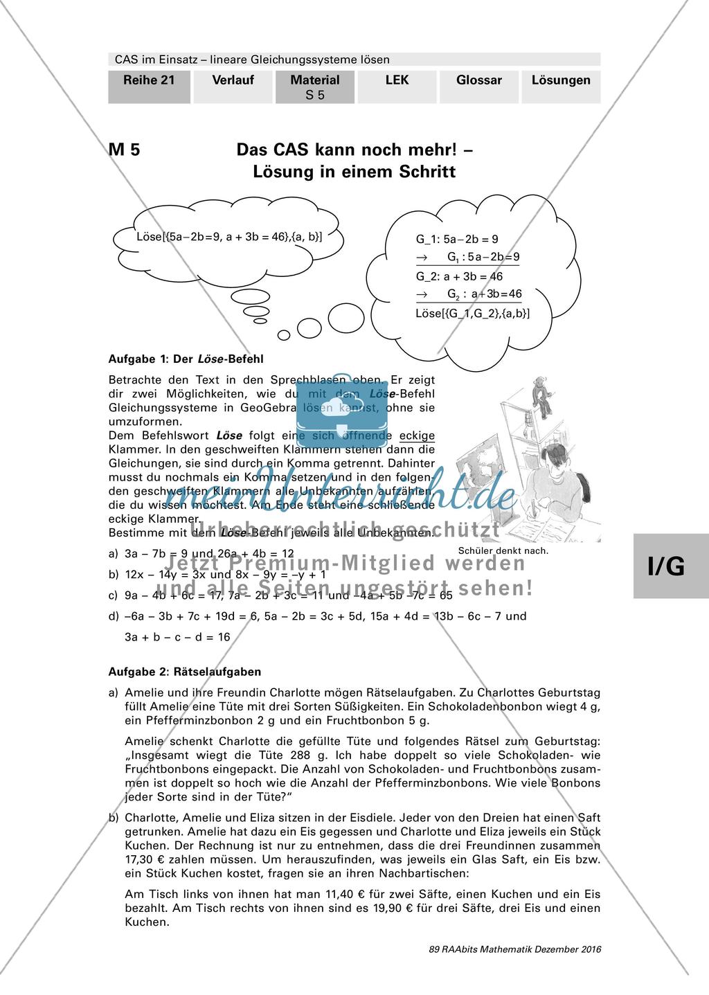 Das CAS kann noch mehr - Lösung in einem Schritt Preview 1