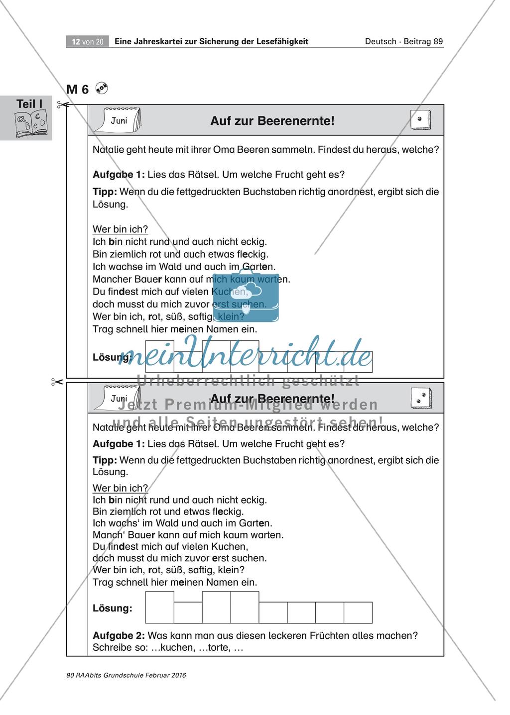 Erweiterung der Lesefähigkeit: Mit Texten durch das Jahr Preview 12
