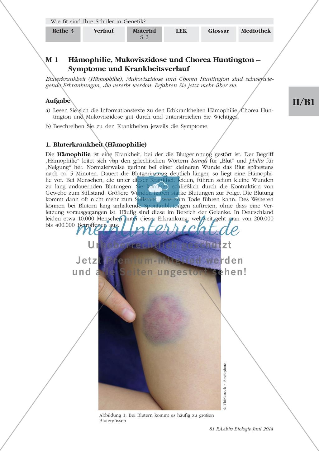 Symptome und Krankheitsverlauf von Hämophilie, Mukoviszidose und Chorea Huntington Preview 1