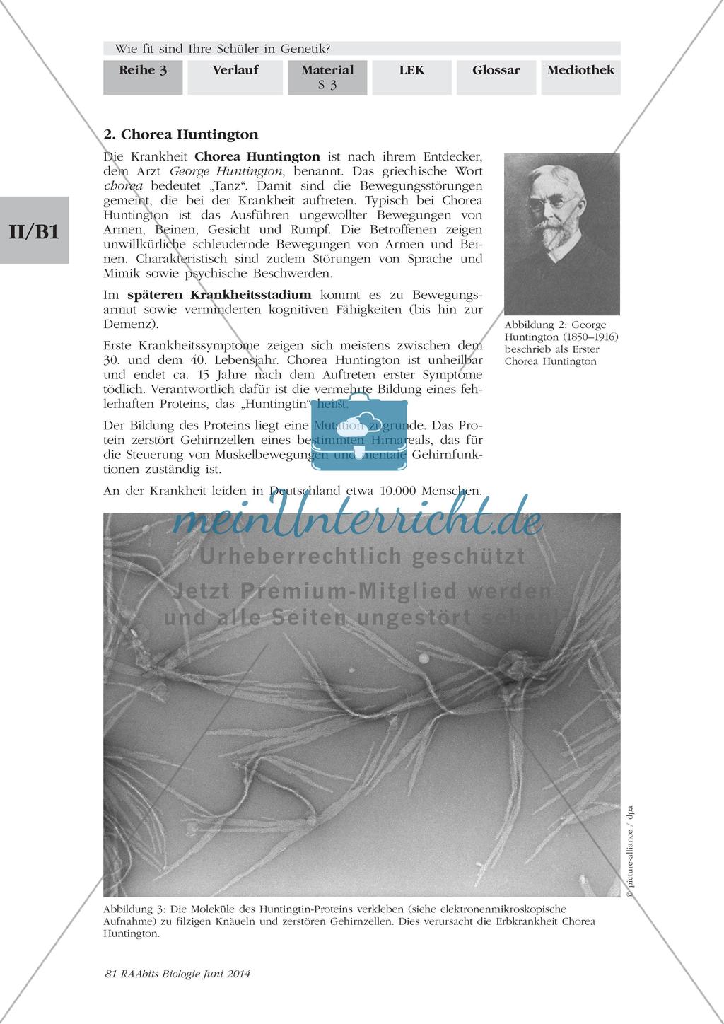 Symptome und Krankheitsverlauf von Hämophilie, Mukoviszidose und Chorea Huntington Preview 2