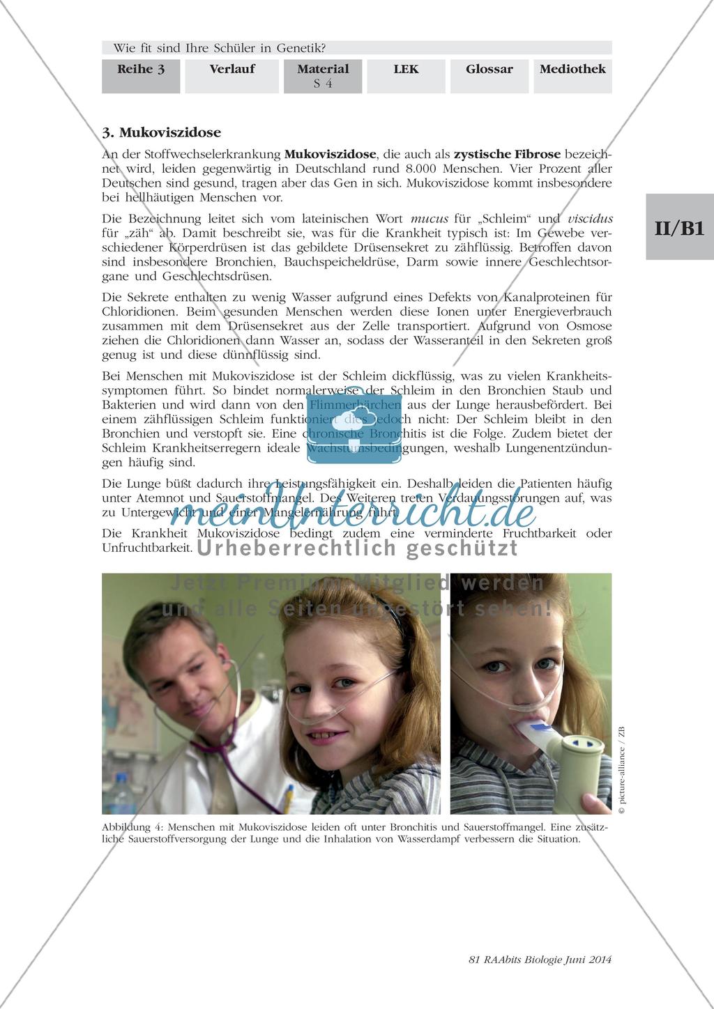 Symptome und Krankheitsverlauf von Hämophilie, Mukoviszidose und Chorea Huntington Preview 3