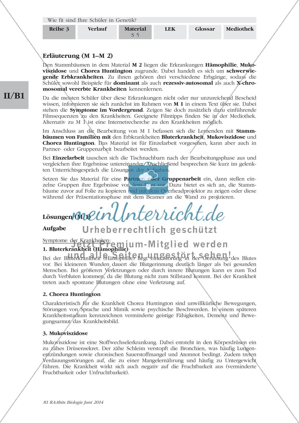 Symptome und Krankheitsverlauf von Hämophilie, Mukoviszidose und Chorea Huntington Preview 4