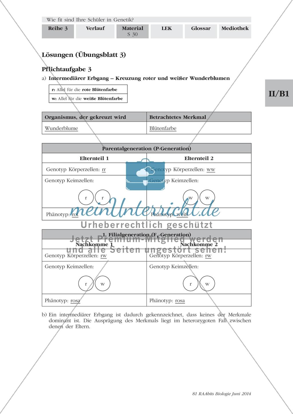 Genetik: Lerntempoduett zur Vererbung Preview 10