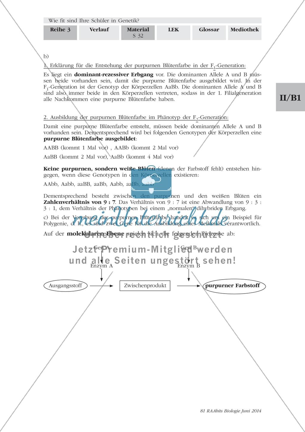 Genetik: Lerntempoduett zur Vererbung Preview 12
