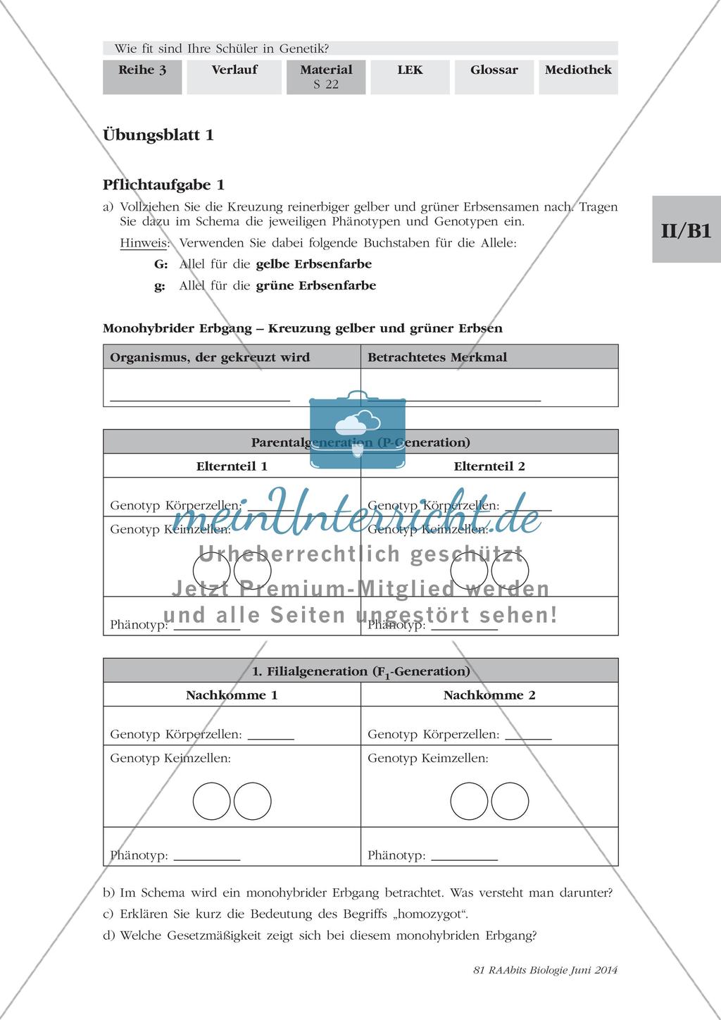 Genetik: Lerntempoduett zur Vererbung Preview 2