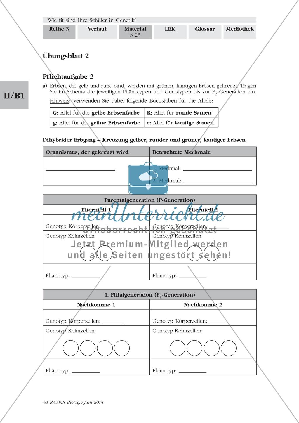 Genetik: Lerntempoduett zur Vererbung Preview 3