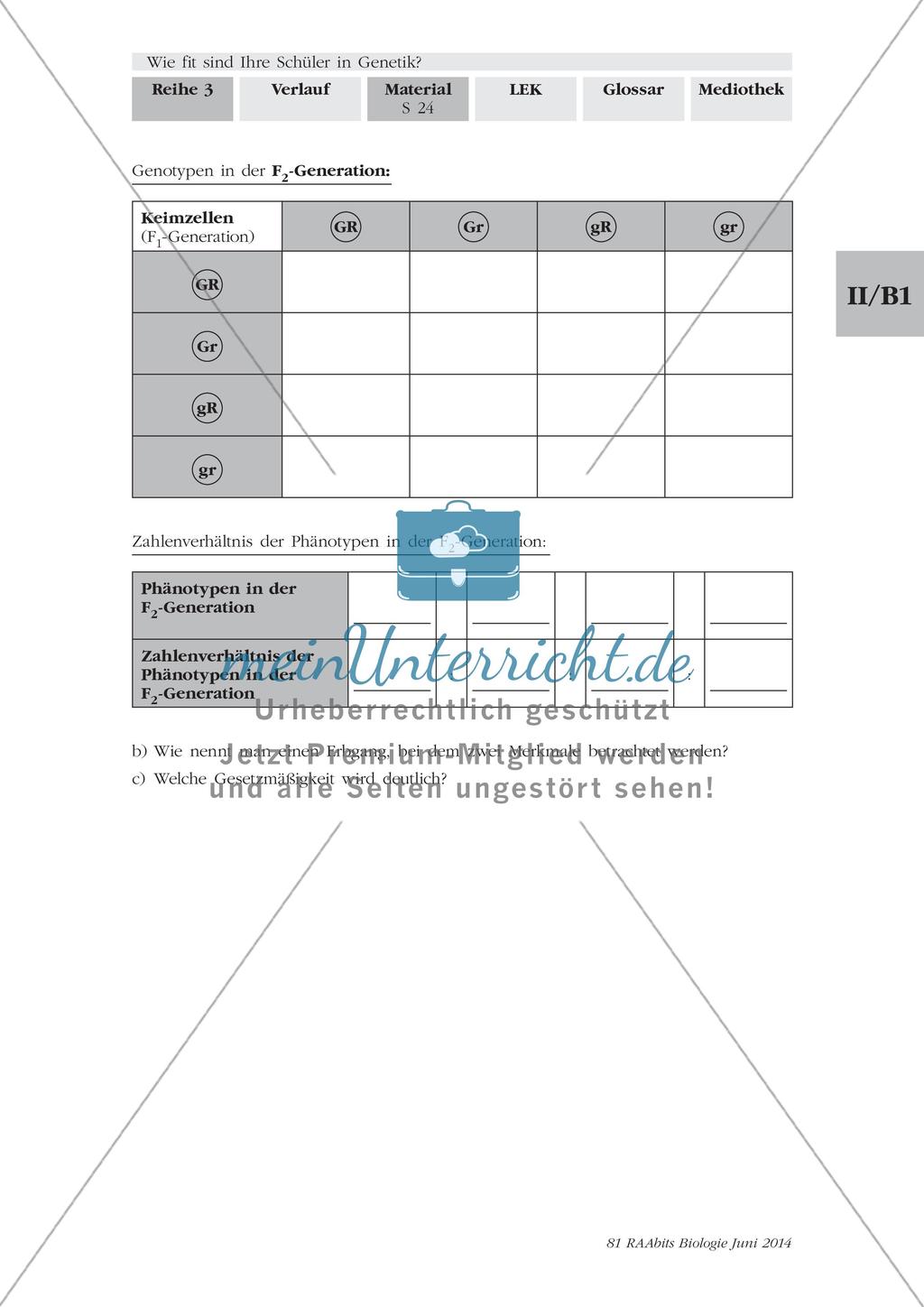 Genetik: Lerntempoduett zur Vererbung Preview 4