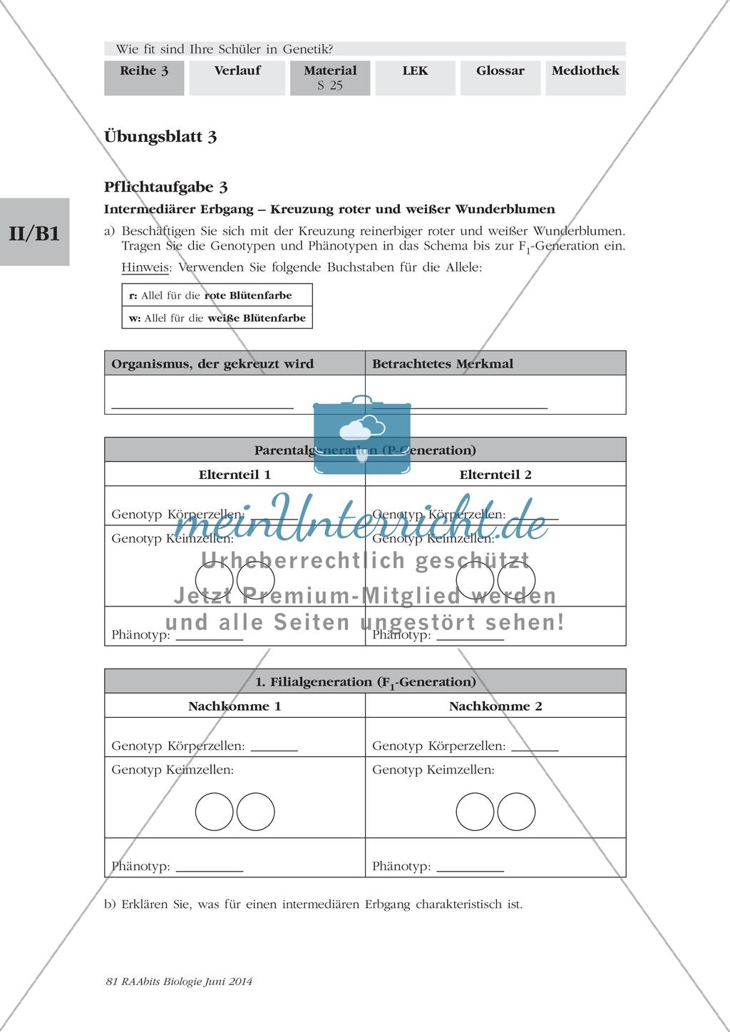 Genetik: Lerntempoduett zur Vererbung Preview 5