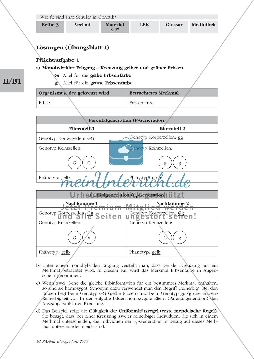Genetik: Lerntempoduett zur Vererbung Preview 7
