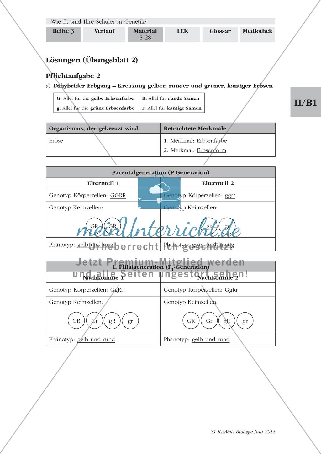 Genetik: Lerntempoduett zur Vererbung Preview 8
