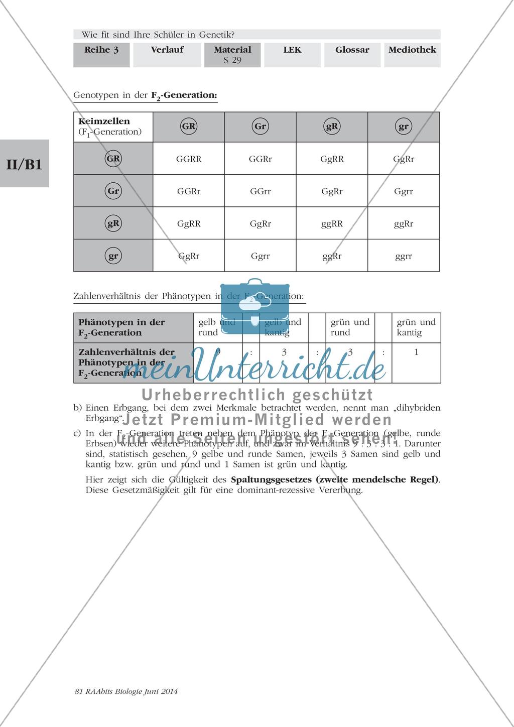 Genetik: Lerntempoduett zur Vererbung Preview 9