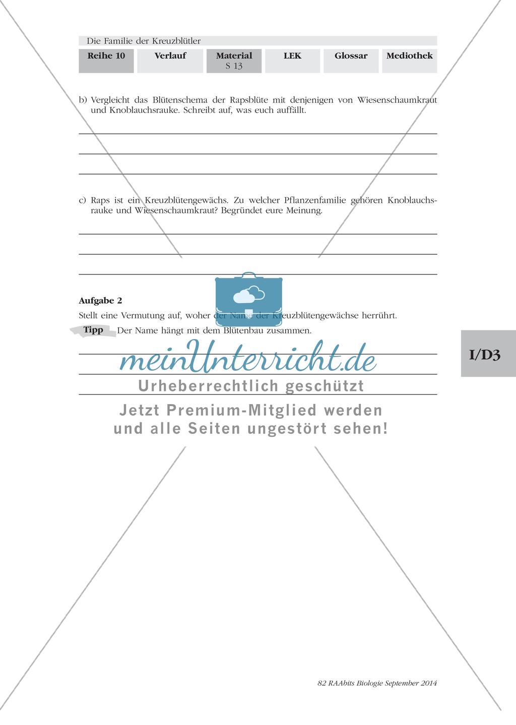 Stationenarbeit: Familie der Kreuzblütler Preview 11