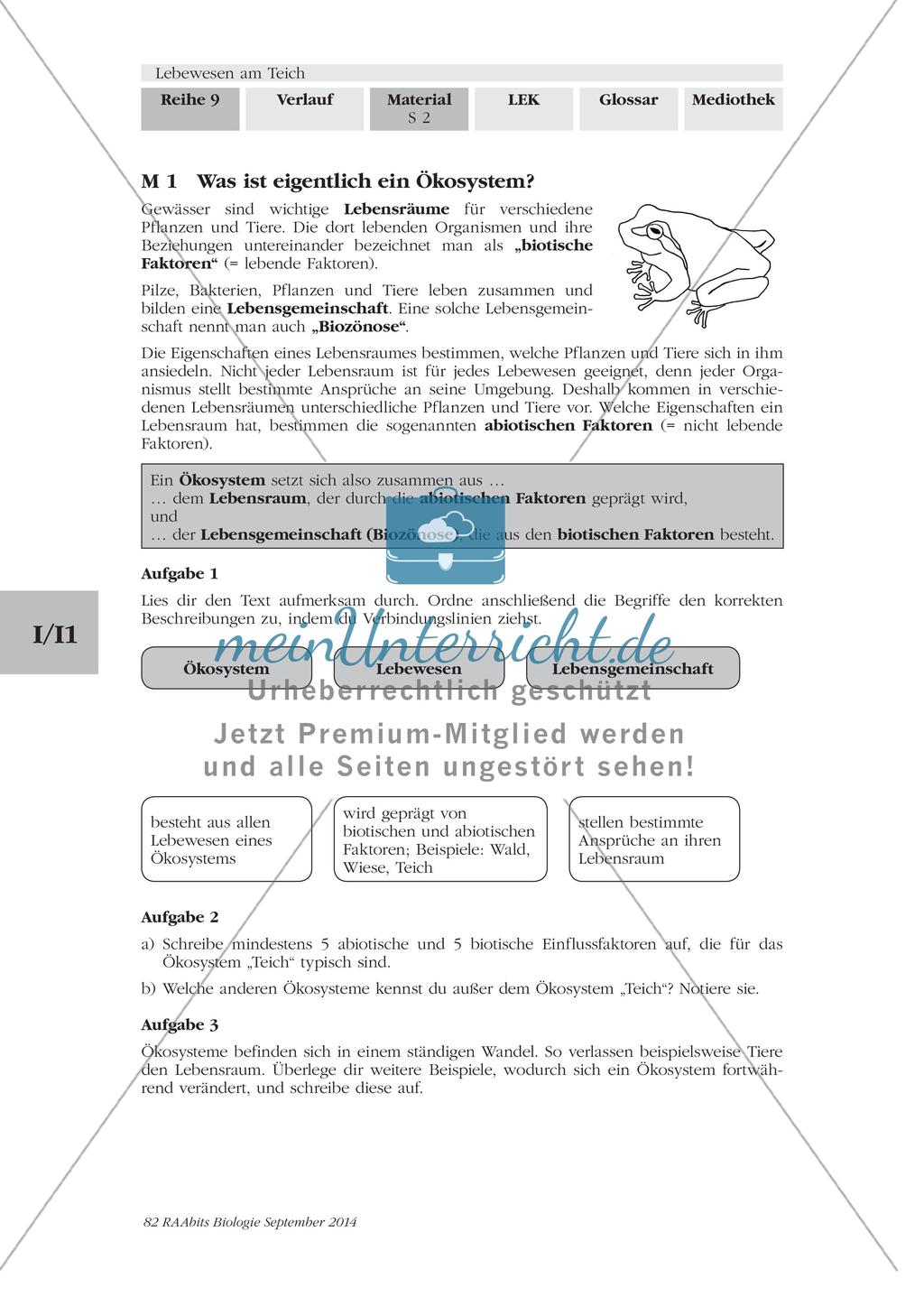 Ökosystem Teich: Einstieg Preview 1