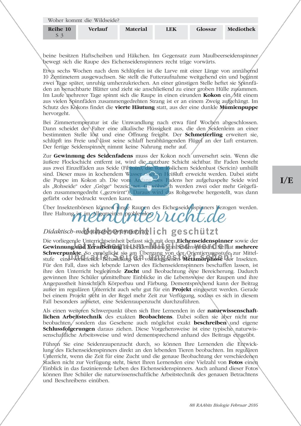 Einführung Preview 3