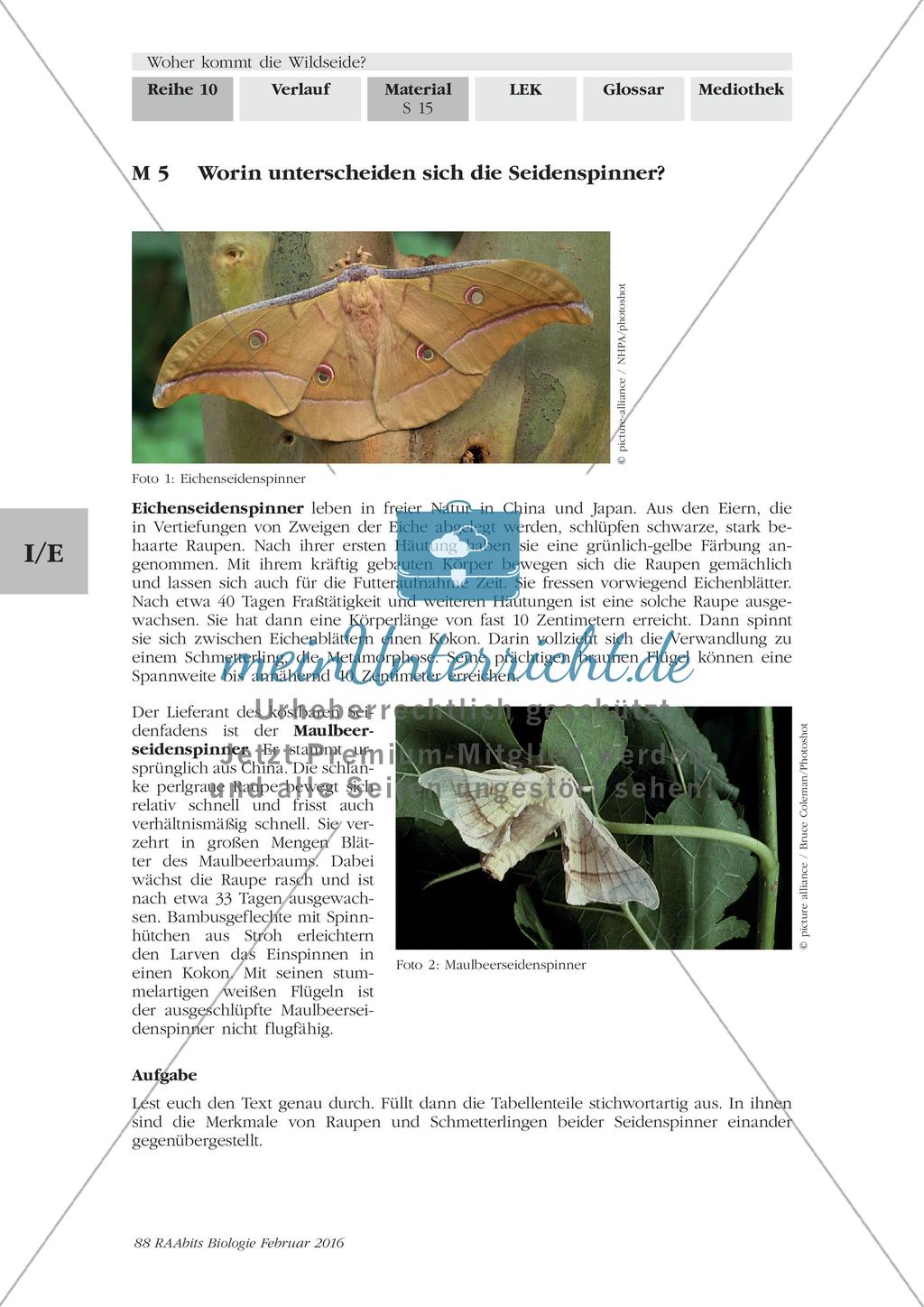 Herstellung von Seide Preview 1
