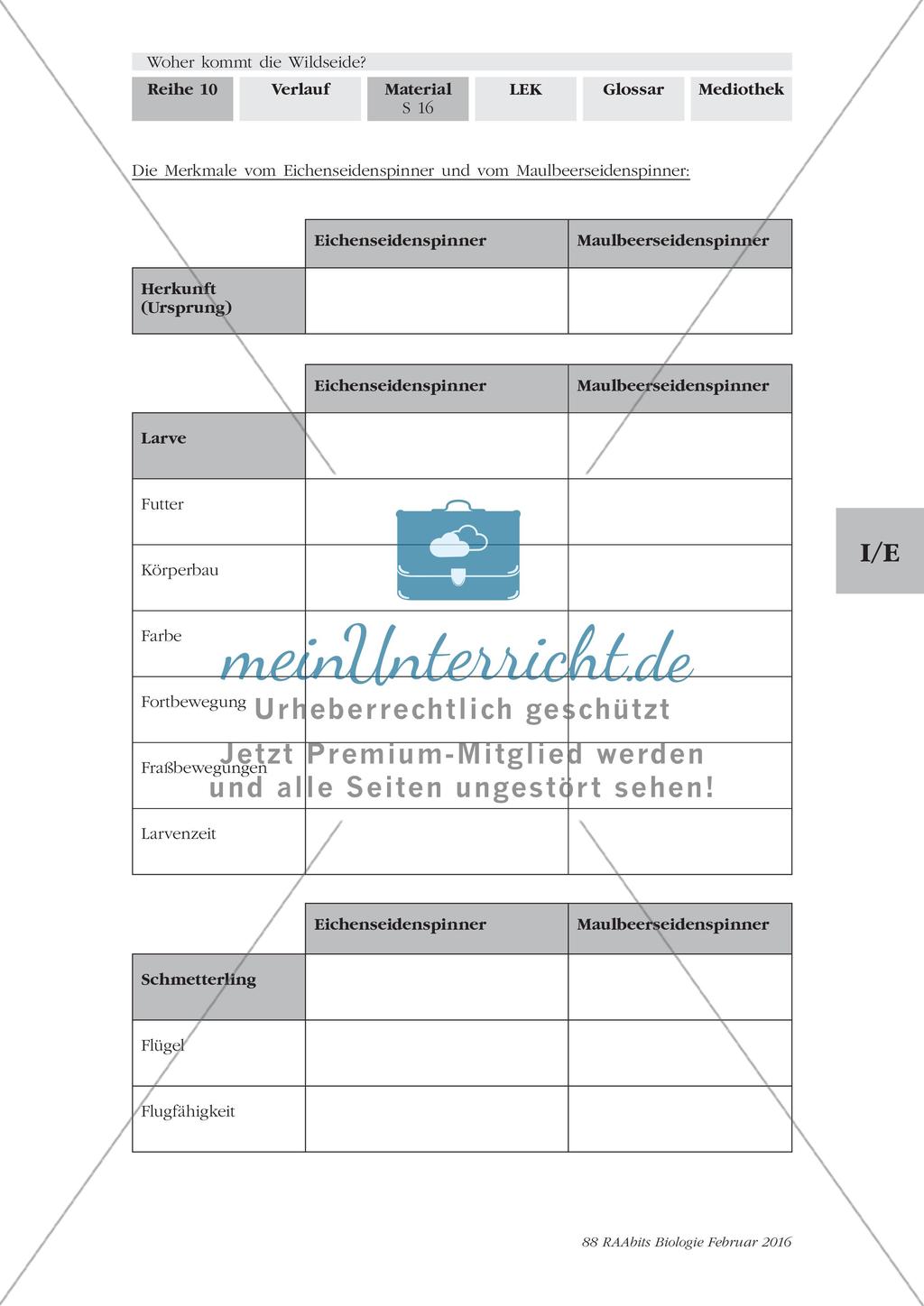 Herstellung von Seide Preview 2
