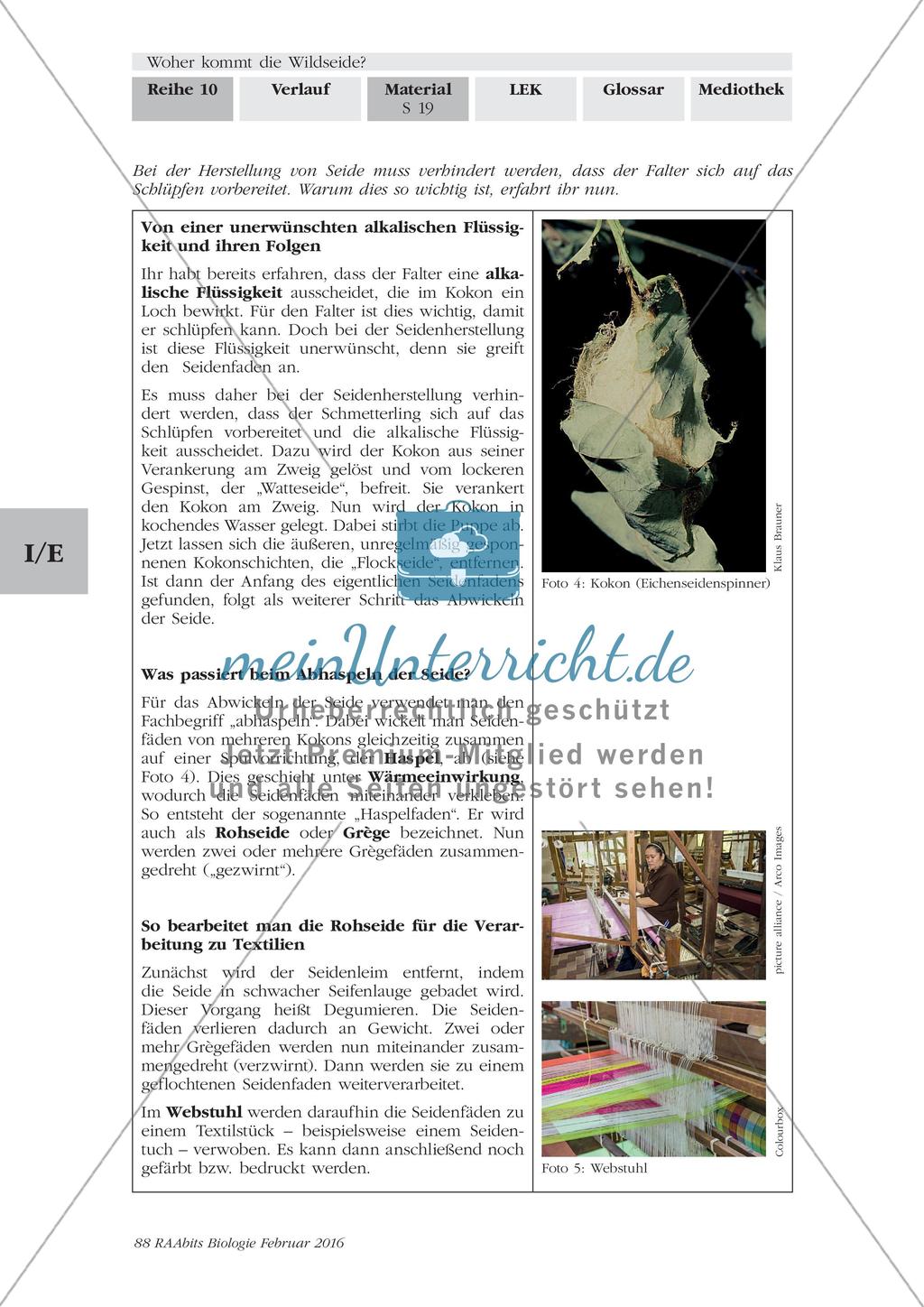 Herstellung von Seide Preview 5
