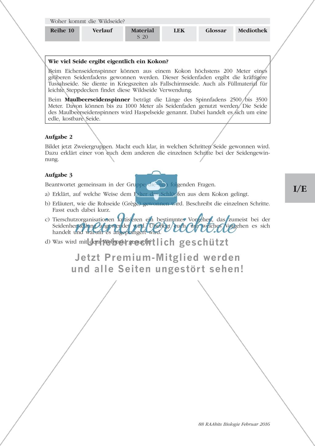 Herstellung von Seide Preview 6