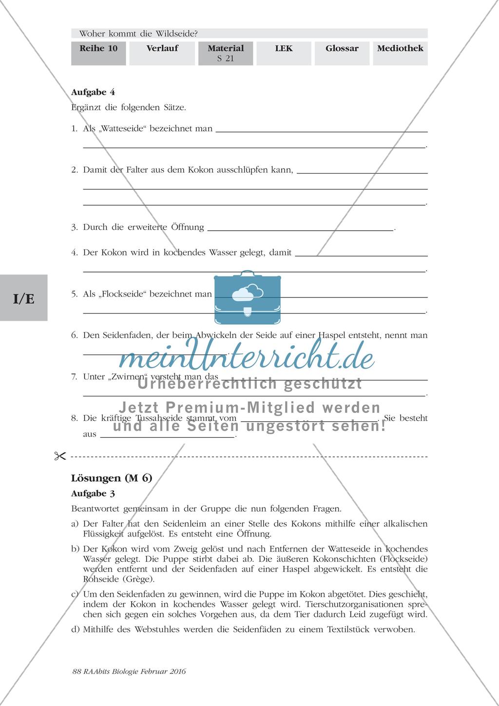Herstellung von Seide Preview 7