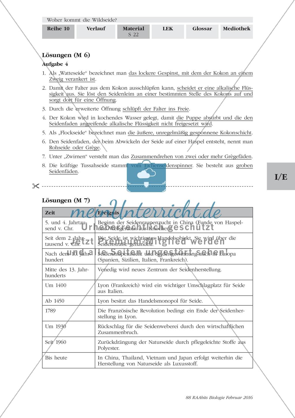 Herstellung von Seide Preview 8