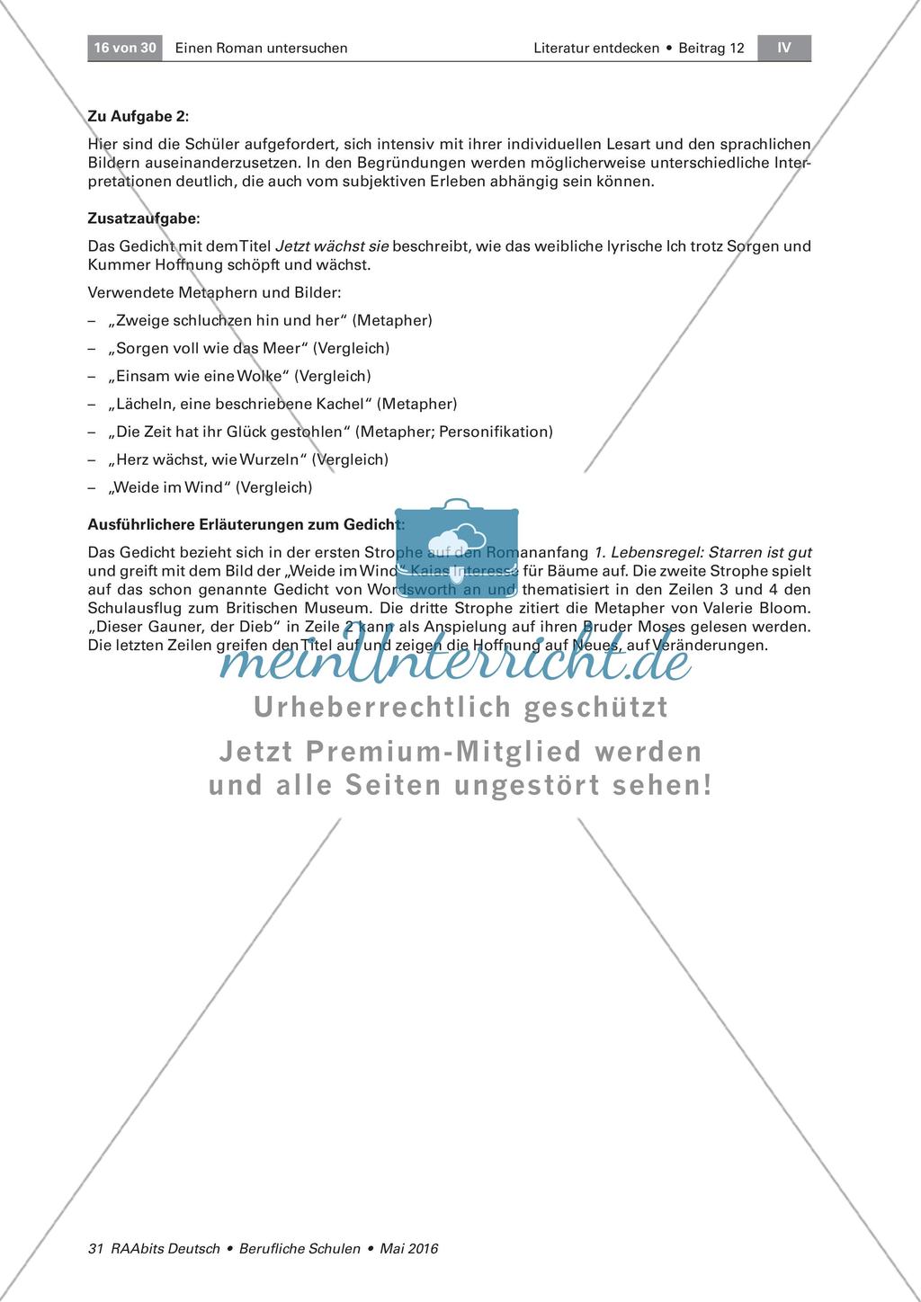 Der Schatten meines Bruders - Handlung und Figurenkonstellation Preview 12