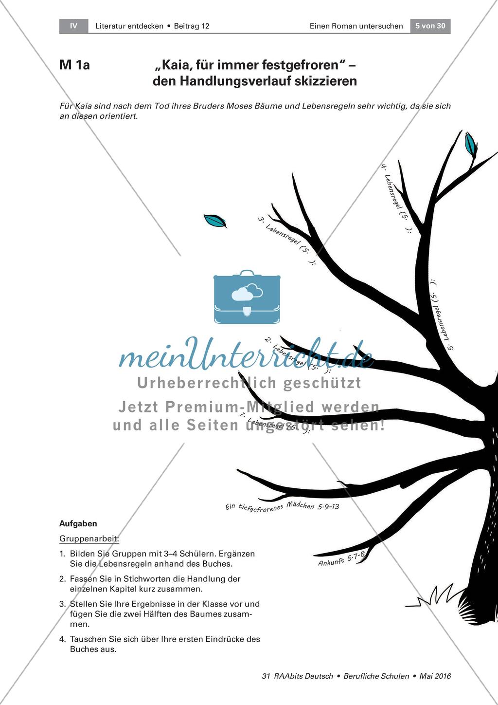 Der Schatten meines Bruders - Handlung und Figurenkonstellation Preview 1