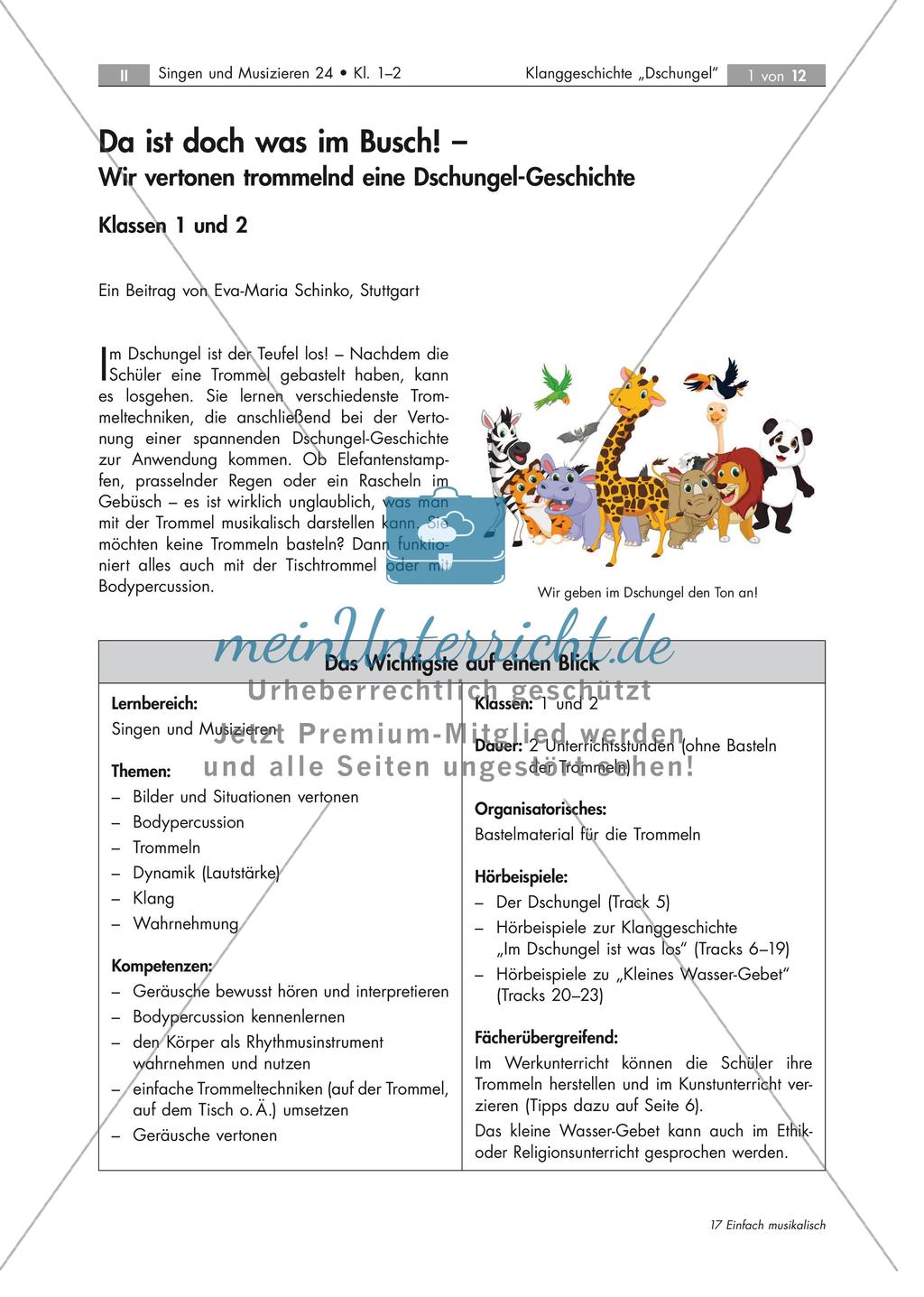 Vertonung einer Dschungel-Geschichte Preview 1